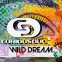 Curiousoul - Wild Dream (Original Mix)