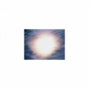 Mindfulness Healing BGM Project - Zebra and Self-control (Sleep Mix)
