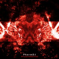 pharmdj - Muchacho