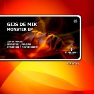 Gijs De Mik - Never Knew