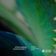 Steve Parker  - Awakening State