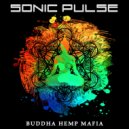 Sonic Pulse - Mind Flux.