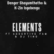 Danger Shayumthetho & K-zin Isgebengu & Assertive Fam & Dj Tino - Elements (feat. Assertive Fam & Dj Tino)