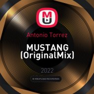 Antonio Torrez - MUSTANG
