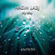 Nacim Ladj - Observatory