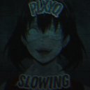 PLXYQ - SLOWING ()