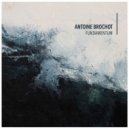 Antoine Brochot & Basile Rosselet & Mirko Maio & Nathan Vandenbulcke - Praeludium ()