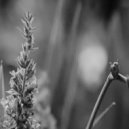 Crosstalk & Michael Bulmer - Le Cinema ()