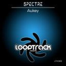 Spectre - Aukey (150Kilos Spectre Edit)