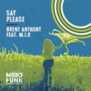 Brent Anthony, M.I.R - Say Please (Dub Mix)