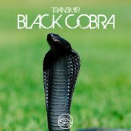 Transmir - Black Cobra