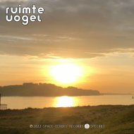 Ruimte Vogel - Spaced Out