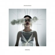 0010X0010 - SmoG