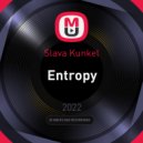 Slava Kunkel - Entropy