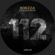 Bodzza - Resistencia