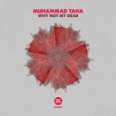 Muhammad Taha - Freezing Sun