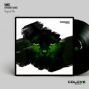 VinS - Dynamic Range