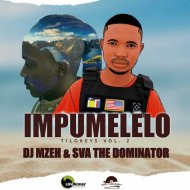 Dj mzeh & Sva The Dominator & ShaDe & SwizzyOctober & AveeP - Embobeni (feat. ShaDe, SwizzyOctober & AveeP)