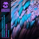 Sacha Robotti, Robot Disco Puma - Spin Class (Original Mix)