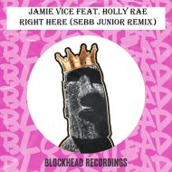 Jamie Vice, Holly Rae - Right Here
