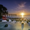 Osc Project - The Sun Will Rise Again