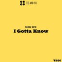 Harry Soto - I Gotta Know (Original Mix)