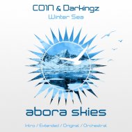 CO1N & Darkingz - Winter Sea
