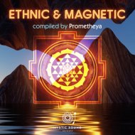 Blue Lunar Monkey - Manifest Reality