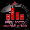 Insect Society - Thousands Of Eggs
