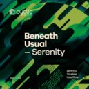Beneath Usual - Passiflore (Original Mix)