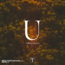 Tjalling Reitsma - U (I Love You) (Extended Mix)