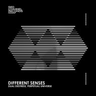 Dual DeStress, Perpetual Universe - Different Senses