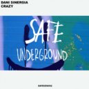 Dani Sinergia - Crazy (Original Mix)