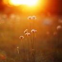 Wonderful Relaxation - Where Words End