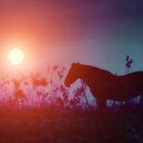Wonderful Relaxation - Where The Heart Is
