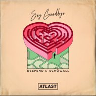 Deepend & ECHŌWALL - Say Goodbye