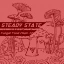 Steady State - Funkus