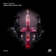 Mister Tenebrio - Together