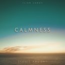 Ilian Ladov - Over the ocean