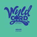 Maliki - Zinged! (Original Mix)