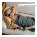 Perfect Sounds - Perfect Sounds for Sleeping, Pt. 17