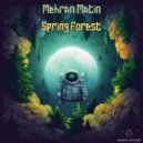 Mehran Matin - Spring Forest (Original Mix)