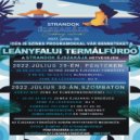 Dj. V. - Retro éjszaka 2022. 07. 29. Leányfürdő (Live Mix)