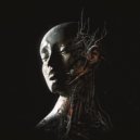 Yin Yang Audio - From Substance To Dream