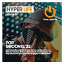 Discoslapers - Gettin Low (Chris Sauerz Mix)