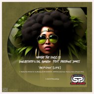 Nkabie The DOGG DJ, SoulRedeep & DEL BIANCHI - AKPONA [Life] Feat. Precious James