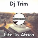 Dj Trim - Life In Africa (Original Mix)