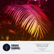 The Velvet Stripes - Pierre Pierangello