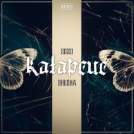 SHuSHa - Мысли