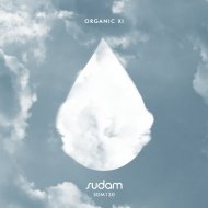 Alar - Ethno Pulse